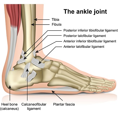 Ankle Injury Brisbane